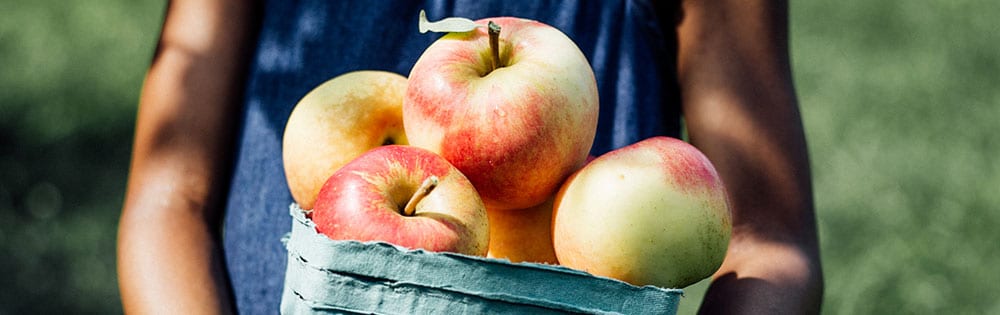 kid holding basket of apples apple picking